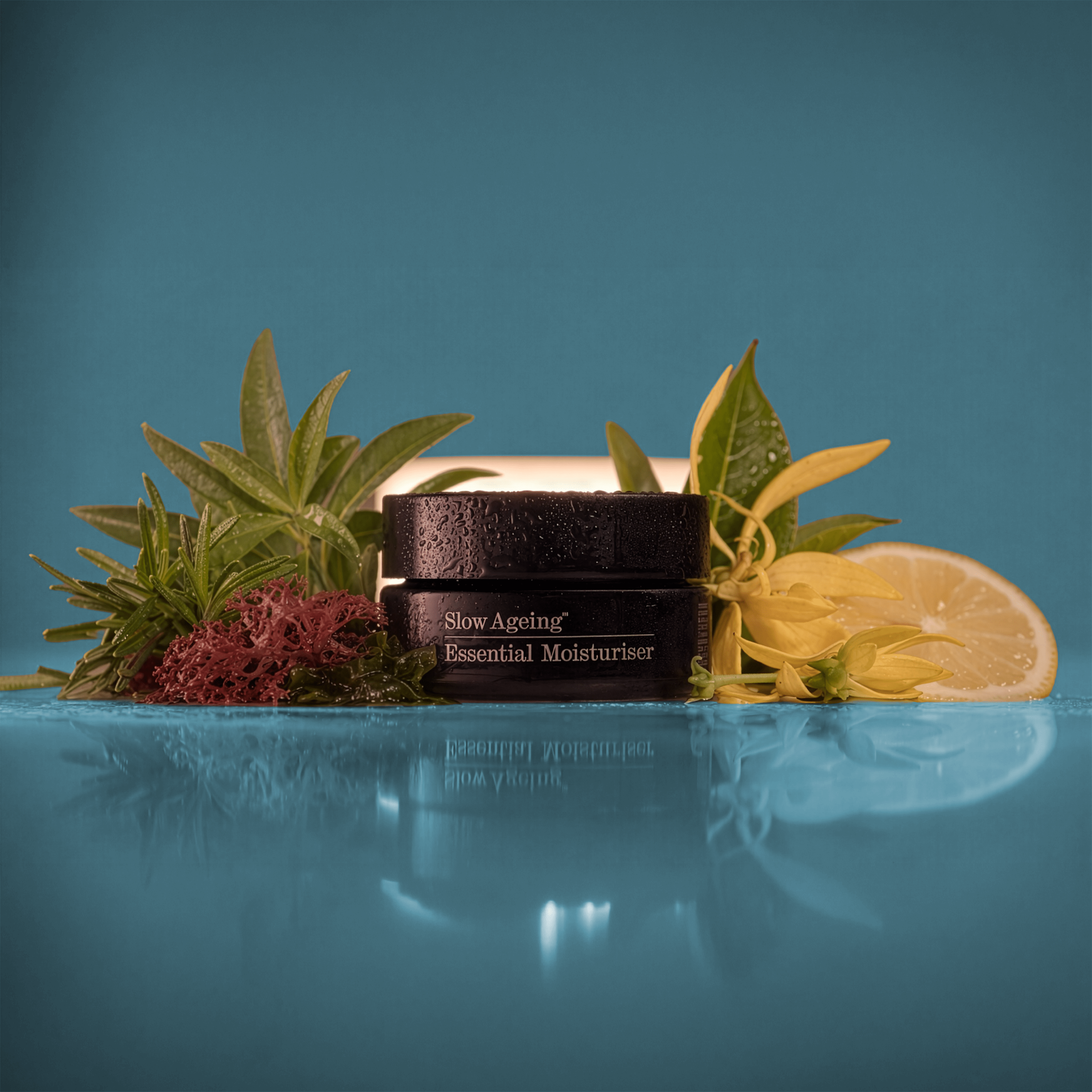 Essential Face Moisturiser - Slow Ageing Essentials Slow Ageing Essentials